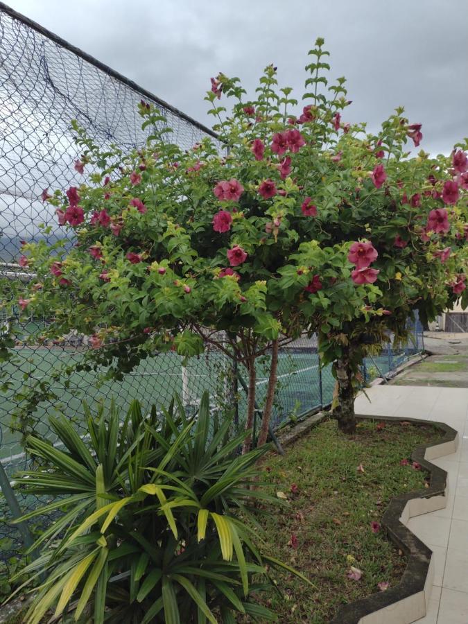 Tenis Clube